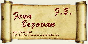 Fema Brzovan vizit kartica